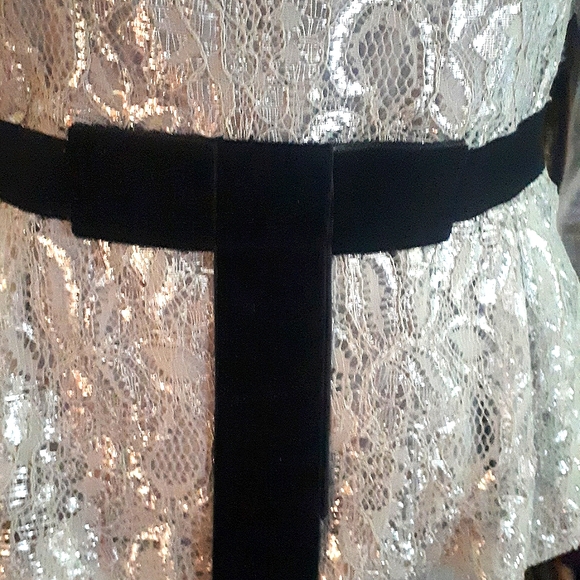 Silver Top - Picture 5 of 6